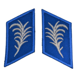 KORPUSÓWKI DLA KORPUSU SZEREGOWYCH / POD... | Emblemat